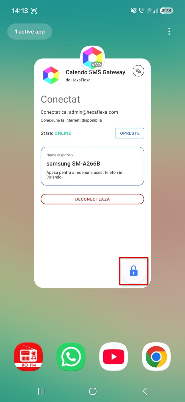 App is pinned and stays open